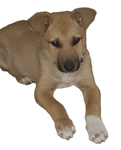 WhatsApp Image 2022-08-27 at 15.25.51 (3)